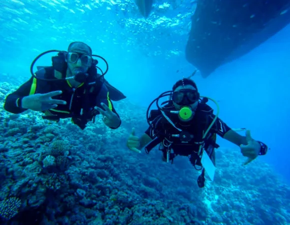 Duiken in Hurghada: Complete Gids voor de Beste Duikspots 2026