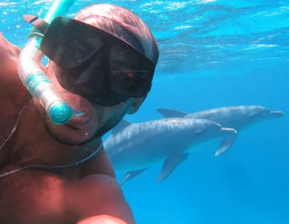 Dolfijnen Zwemmen Hurghada: Onvergetelijke Tocht in 2026