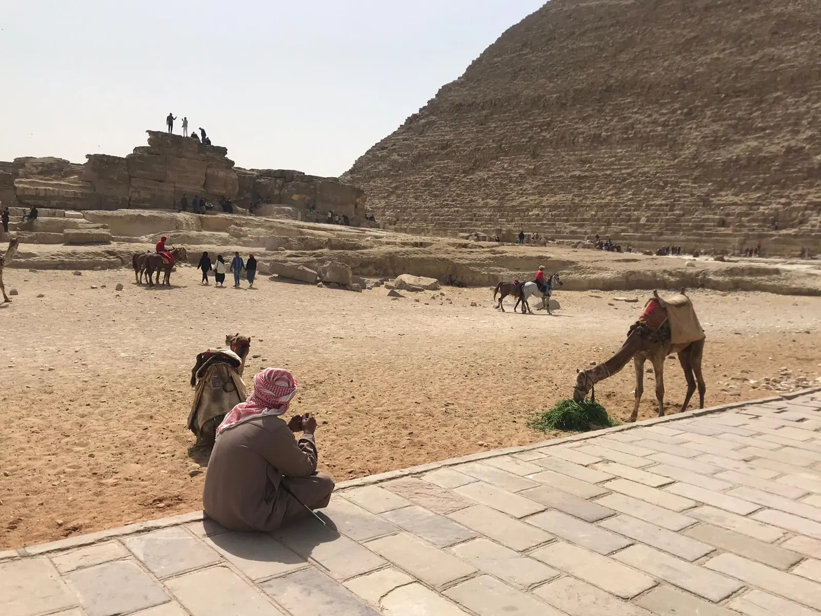 Toeristen en kamelen bij de piramides van Gizeh onder een strakblauwe hemel in Egypte