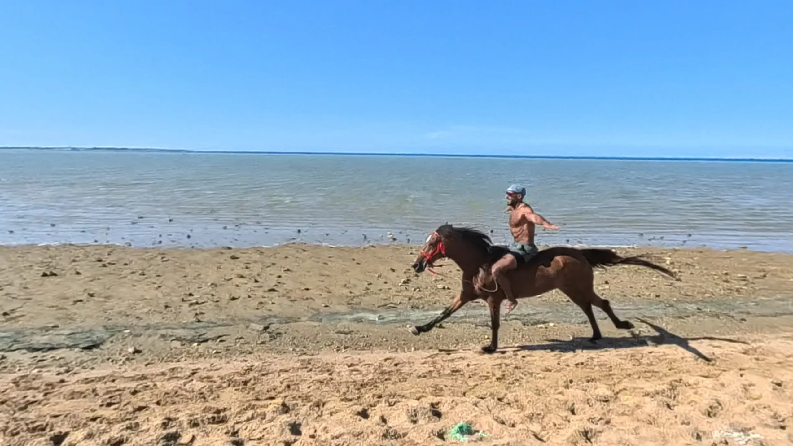 Mahmya Island kosten met buffetlunch en strandgebruik