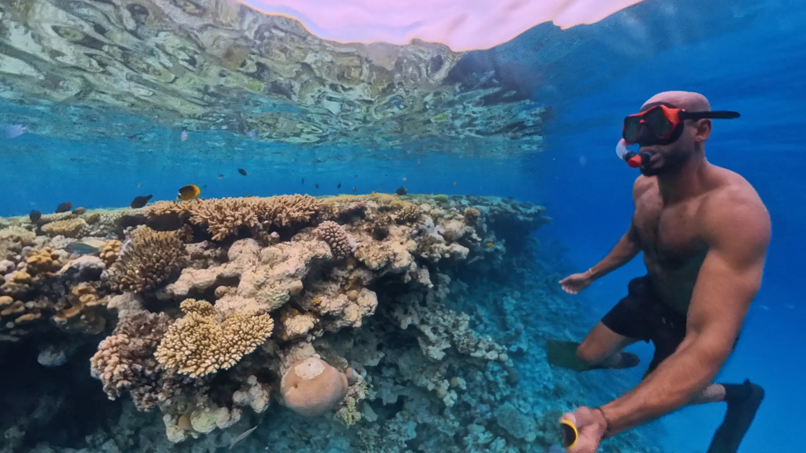 Snorkelaar bij een kleurrijk koraalrif in de Rode Zee bij Hurghada in de winter