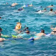 Groep snorkelaars boven een koraalrif in het heldere water van Hurghada, Egypte
