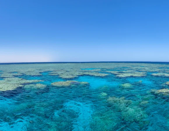 Hotel met huisrif in Hurghada: de mooiste huisriffen & snorkelen vanaf het strand