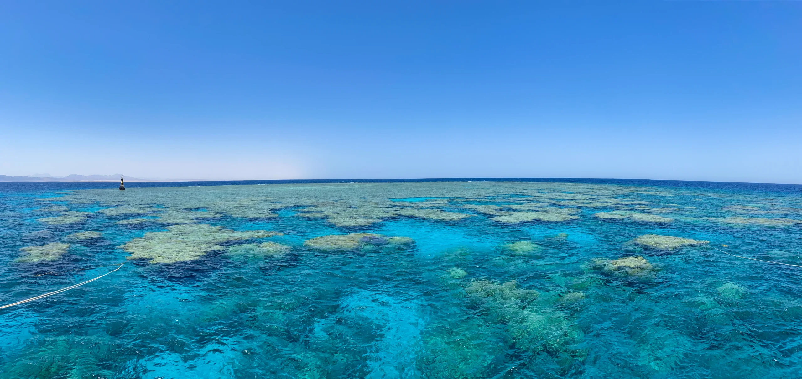 Ondiep koraalrif zichtbaar vanaf het wateroppervlak in de Rode Zee bij Hurghada – ideaal huisrif om vanaf het strand te snorkelen