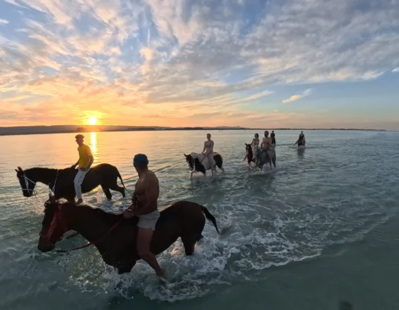 Paardrijden Hurghada: Romantische Strandrit bij Zonsondergang 2026