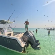 Boot voor anker in het heldere turquoise water van Orange Bay Hurghada met snorkelaars en zwemmers tijdens een dagtrip